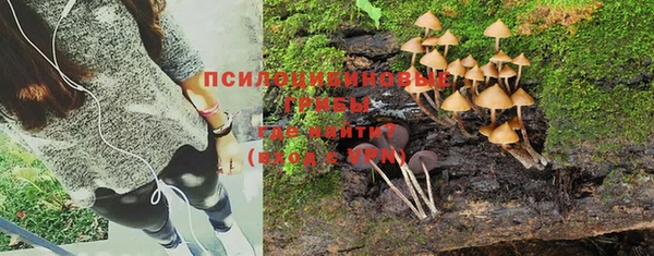 круглые Бронницы