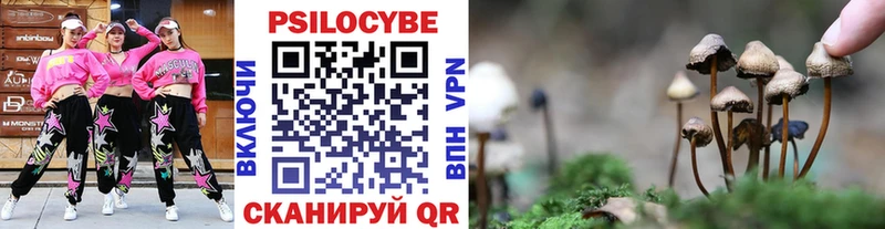 Галлюциногенные грибы мухоморы  Новый Уренгой 